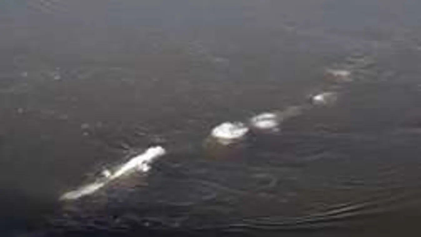 Hátborzongató tengeri szörny tűnt fel a jeges vízben, mi lehet ez?