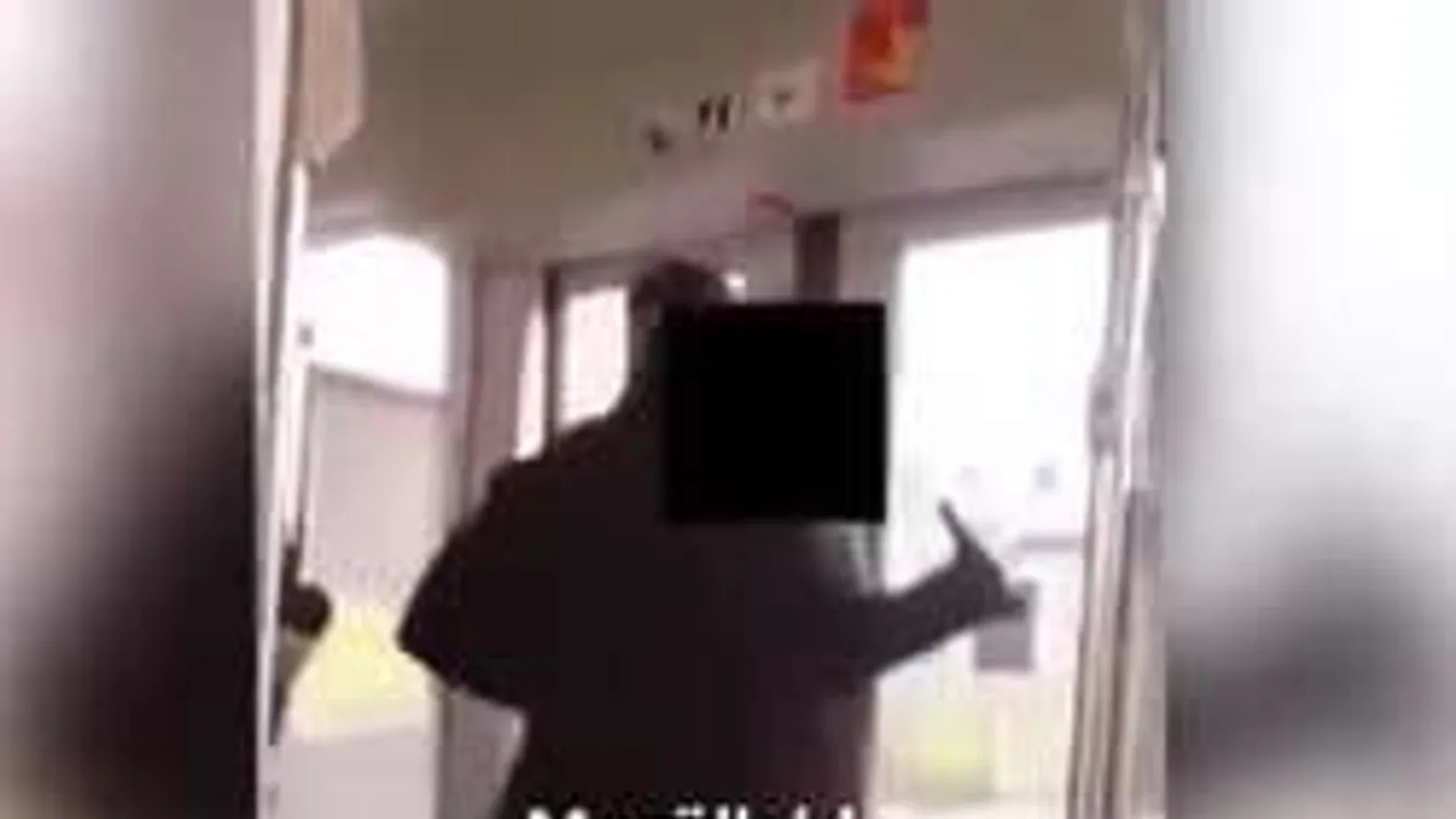 Megöllek: Késsel támadt a szitkozódó migráns a német vonaton - videó