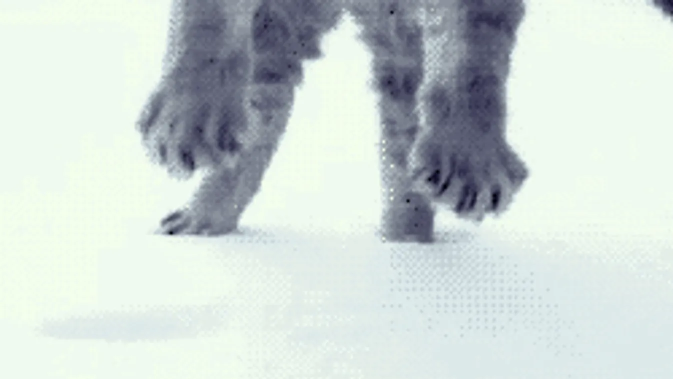 Riasztás: durván lehűl a levegő, az első hó is leszakad!