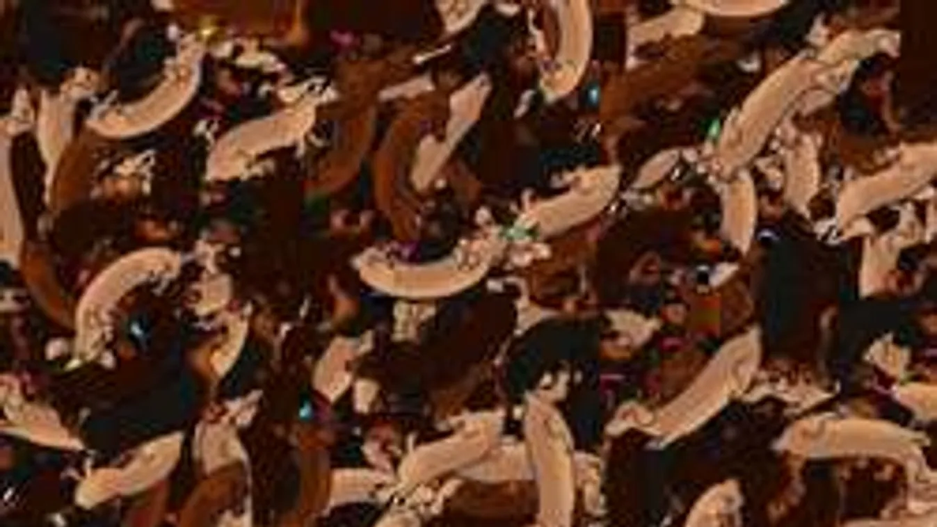 Megtalálod a kolbászt a képen? Ezen pörög most a net