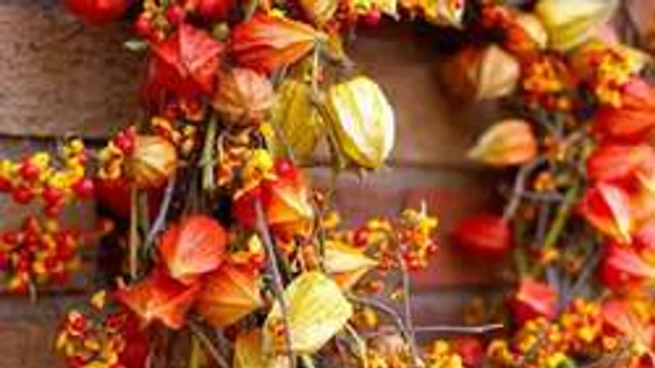 Ezt tedd az ajtódra és mindenkinek jó kedve lesz, ha belép