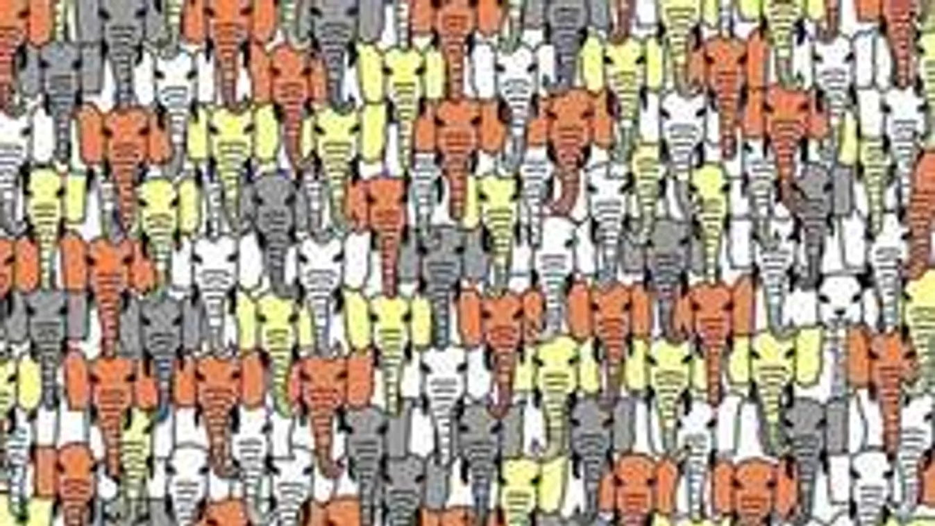 Ettől kitéped a hajad! Fogadjunk, hogy nem találod meg a kutyát a képen!