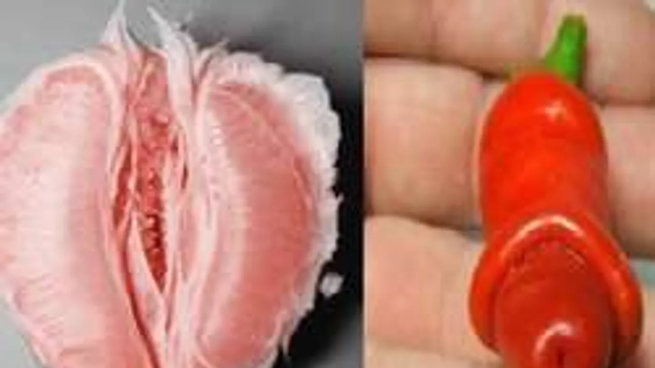 Ilyen az igazi kajapornó: Semmi nem az, aminek látszik!