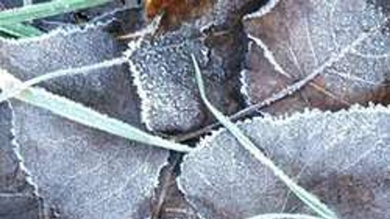 Brutális, hogy milyen időjárás jön a következő napokban!