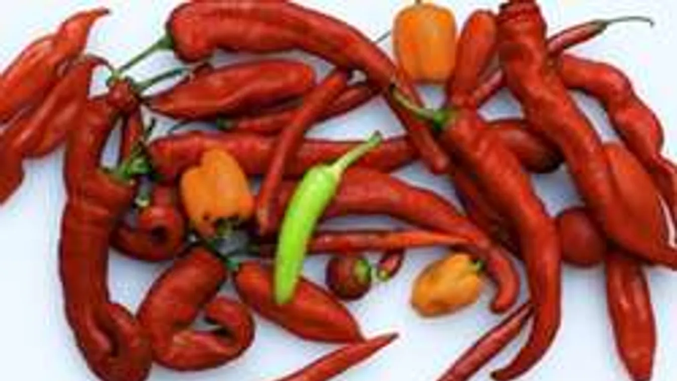 Még az orvosok is meglepődtek: így hat az egészségre az erőspaprika