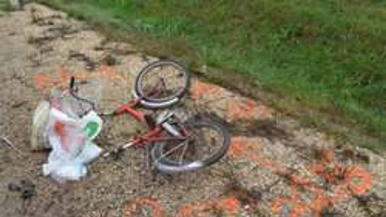 Tragédia az 55-ös főúton: Megrázó fotók a halálos gázolásról!