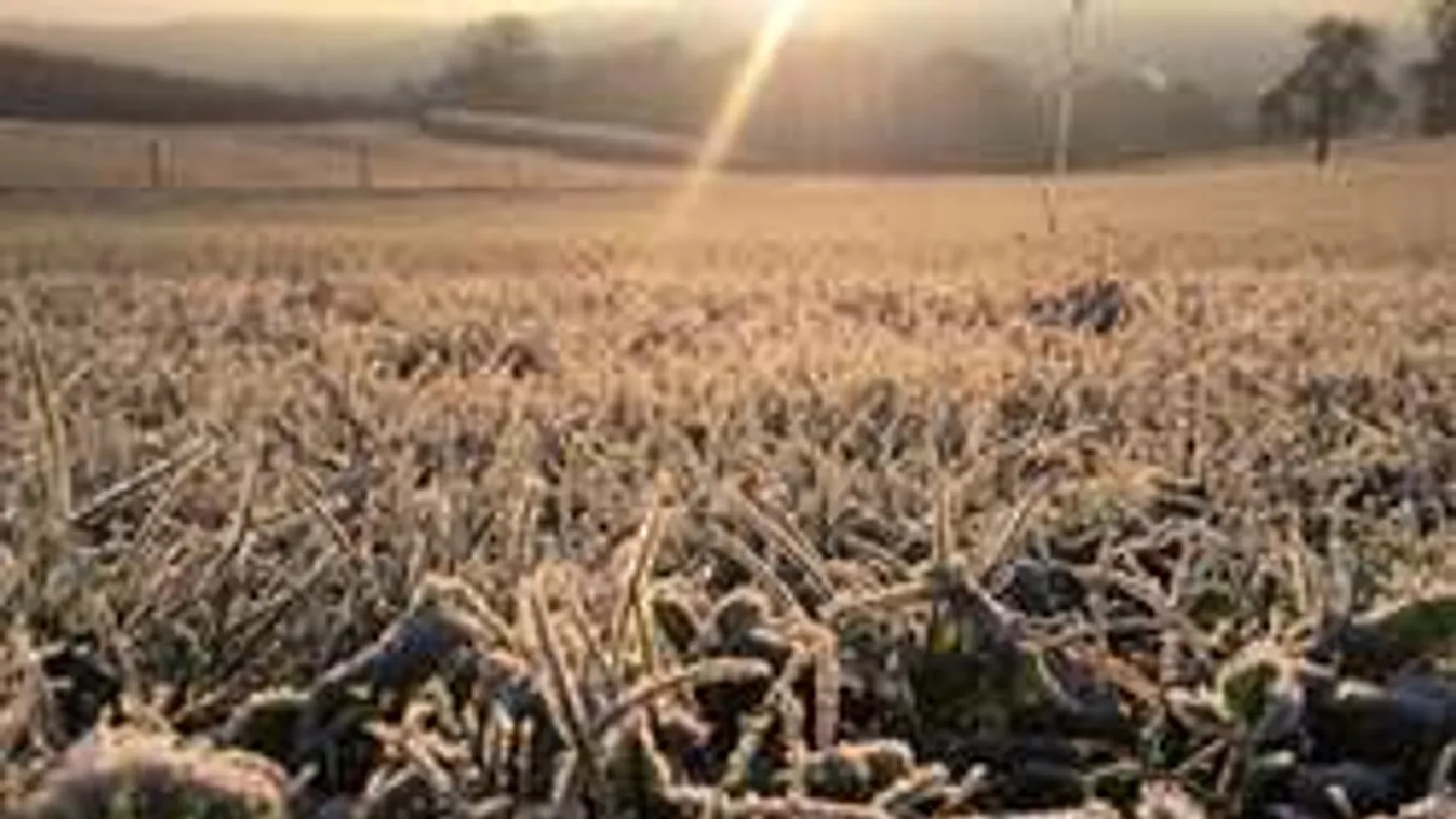 Kegyetlen hideg tör ránk, ekkor érkeznek a mínuszok