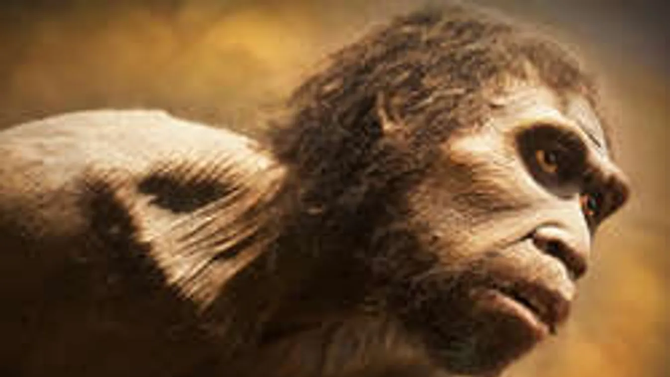 Mit keres modern kori lövésnyom egy ősi neandervölgyi koponyán?