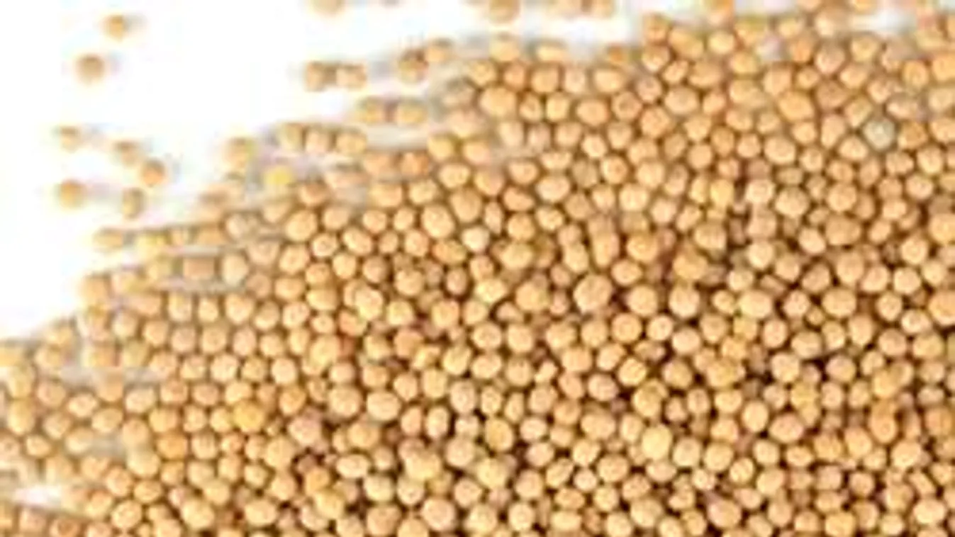 Ezért tedd fehérborecetbe a csodagömböt!