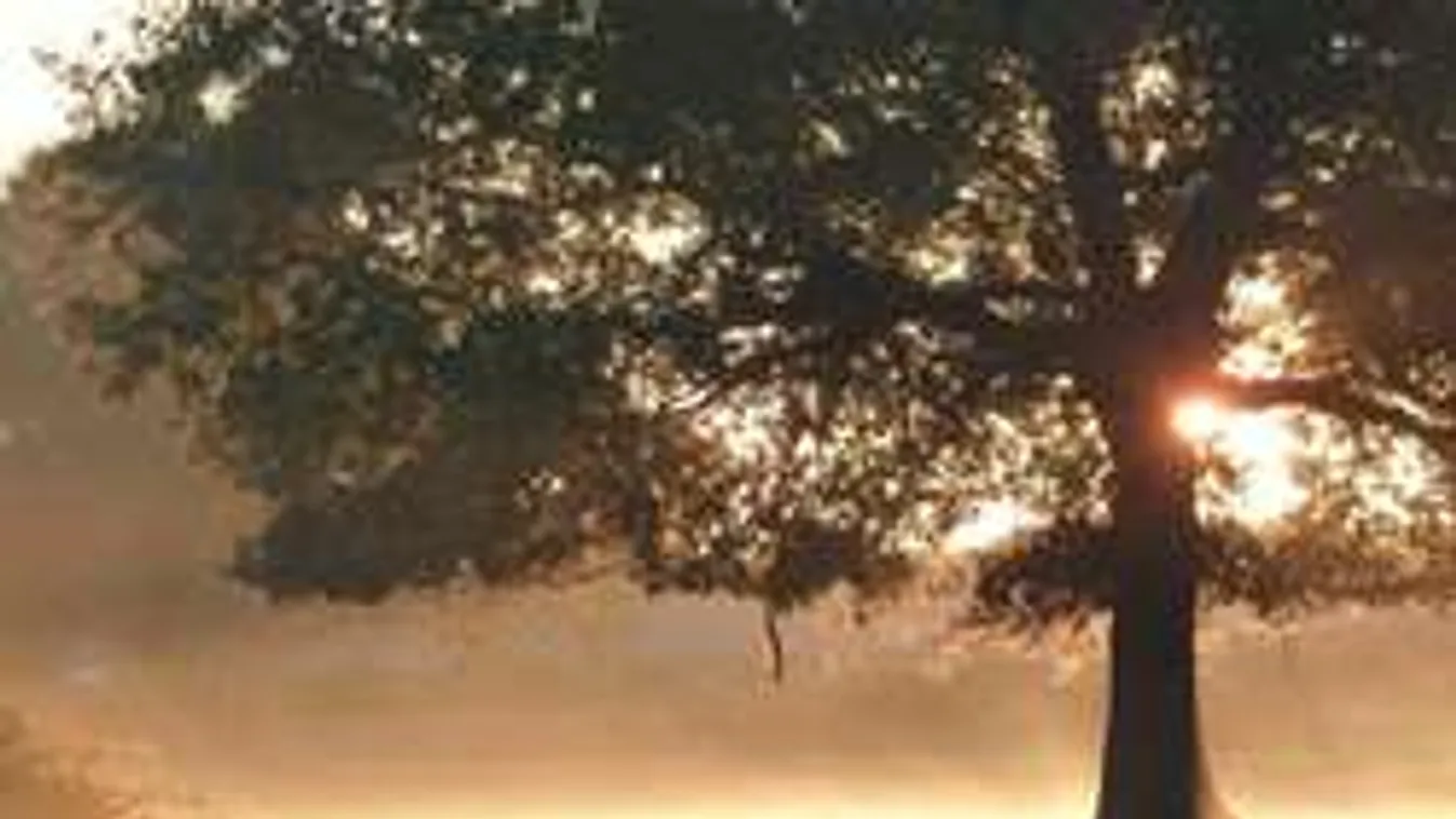 Ijesztő, amit az időjárás művel! Ez lesz ma...