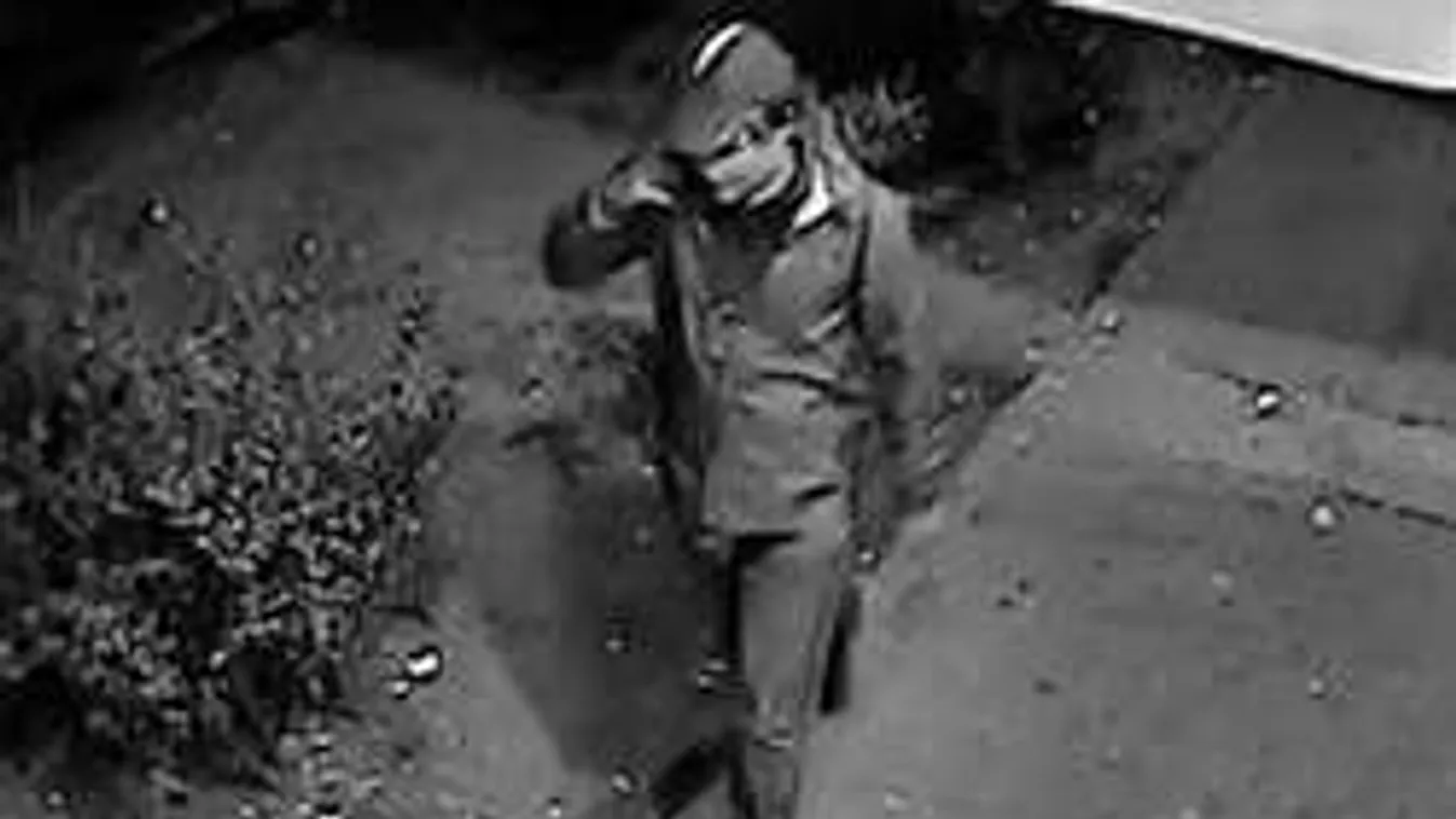 Ezért tűnt el a Népligetnél a Teréz körúti robbantás gyanúsítottja