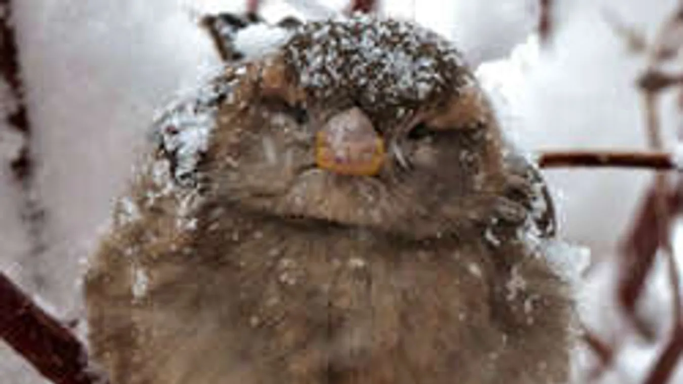 Bekeményít az időjárás: havazás és durva mínuszok érkeznek!