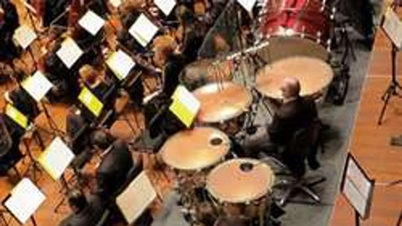 Százhúszmilliós csalással vádolják a zenészt