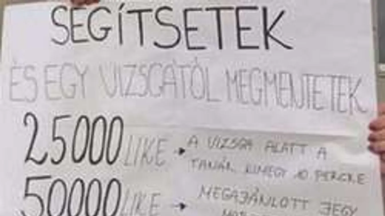 Kiváltja az egyetemi vizsgát a Facebook-like