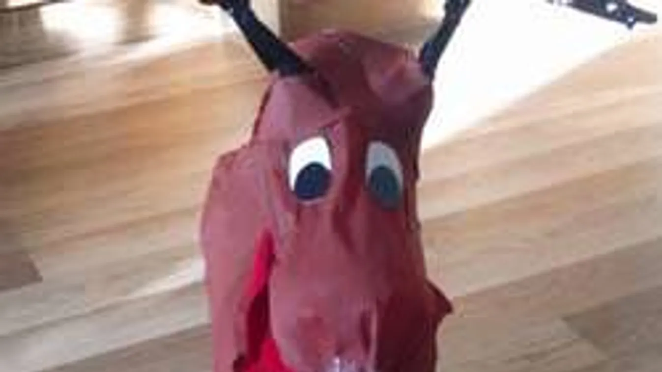 Eszméletlen, mit készített a magyar anyuka műanyag palackokból!