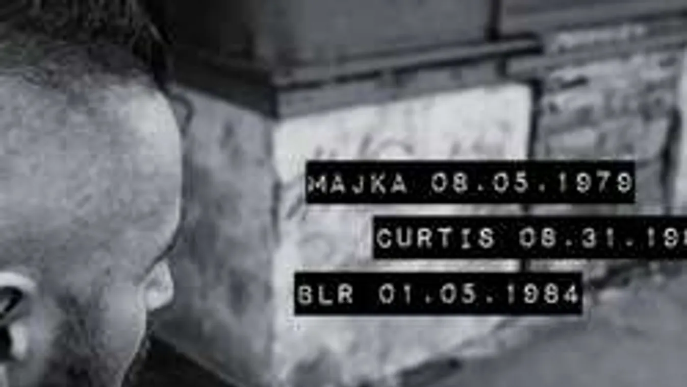 "Egy kis macska megérzi, ha mellé ülnek a buszon!"