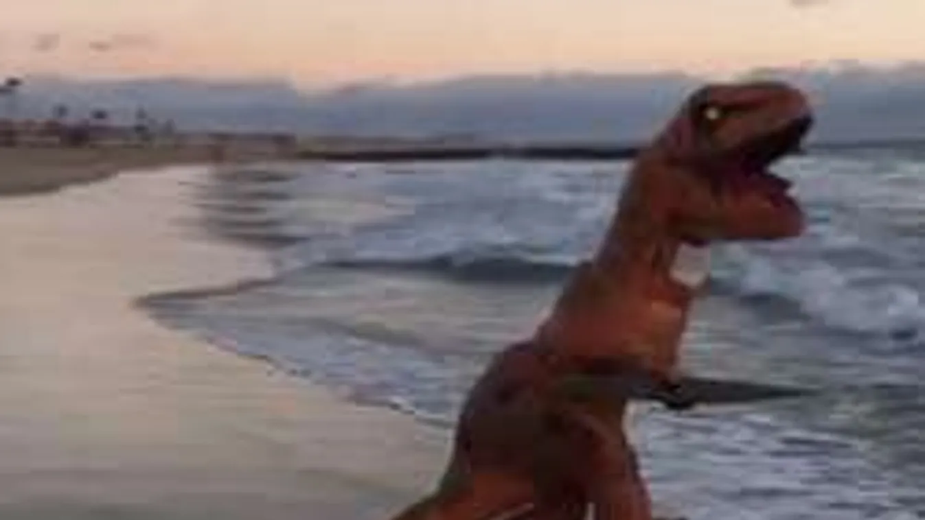 Rossz kedved van? Nézz szörföző dinoszauruszt