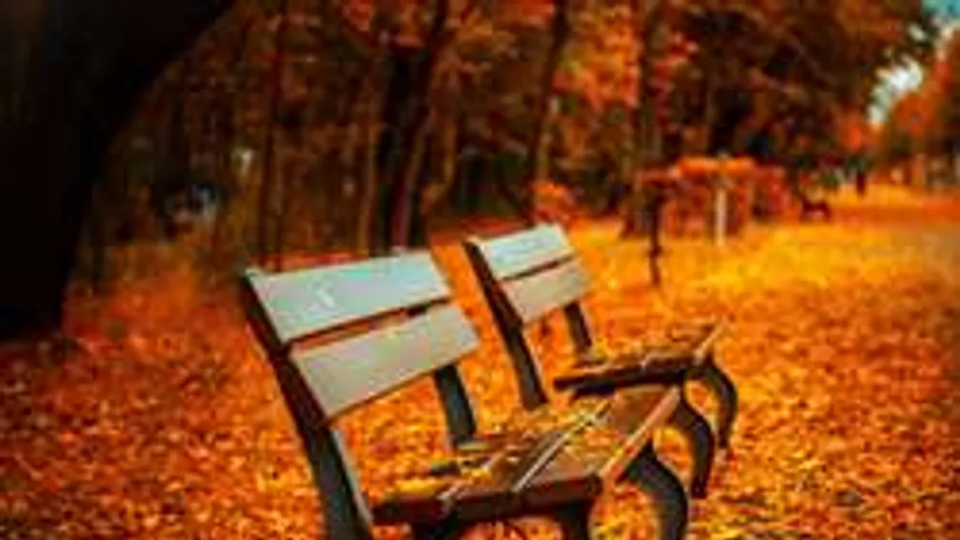 Ázsiaiak erőszakoltak meg egy férfit a parkban