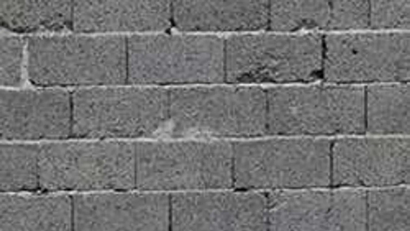 Fallal kerítenek el egy migránstábort Németországban