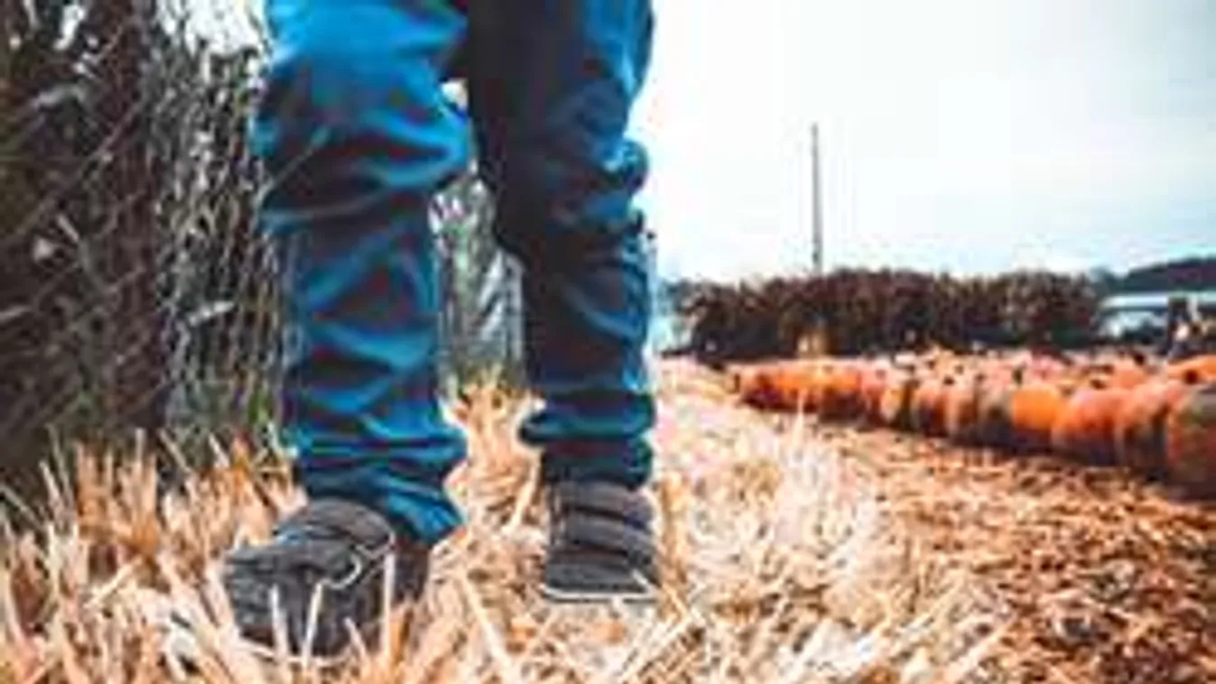 Brutális: felakasztották és kövekkel dobálták a félmeztelen kisfiút