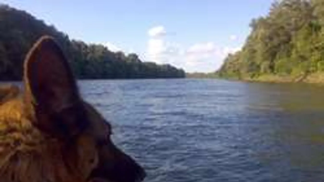 Aggasztó: Rejtélyes módon tűnt el a Tiszában a 15 éves Barbara