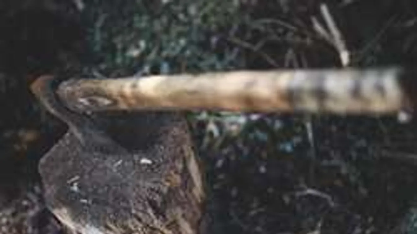 Baltával esett feleségének a debreceni férfi