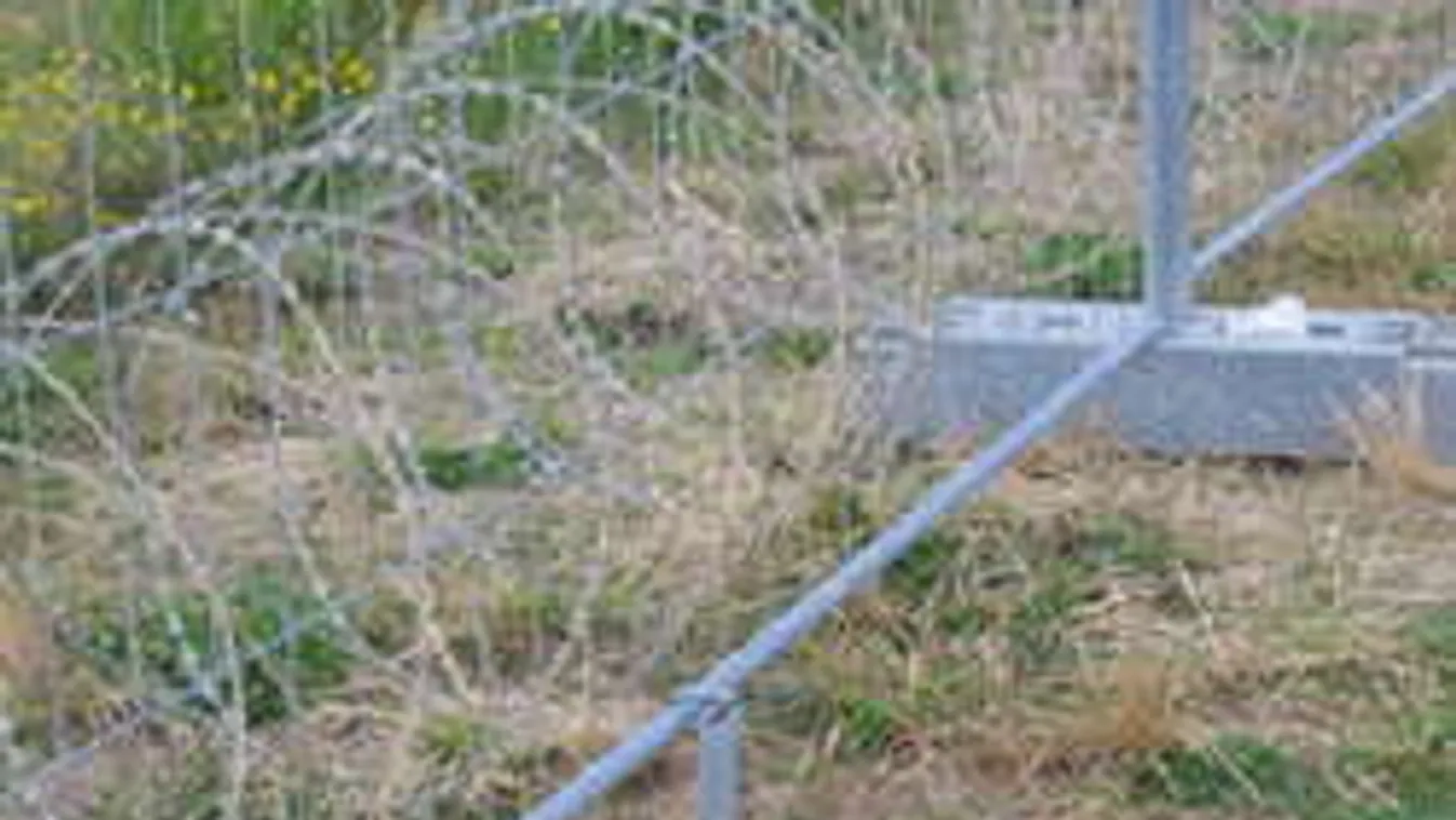 Ezt ajánlja a migránsok ellen a migrációs hivatal orvosa