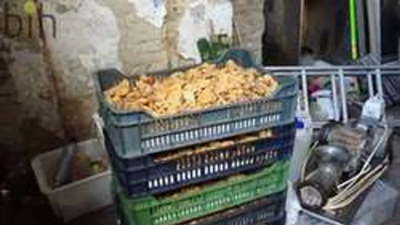 Teljes döbbenet a magyar húsboltban: Azonnal bezáratta a hatóság! - videó