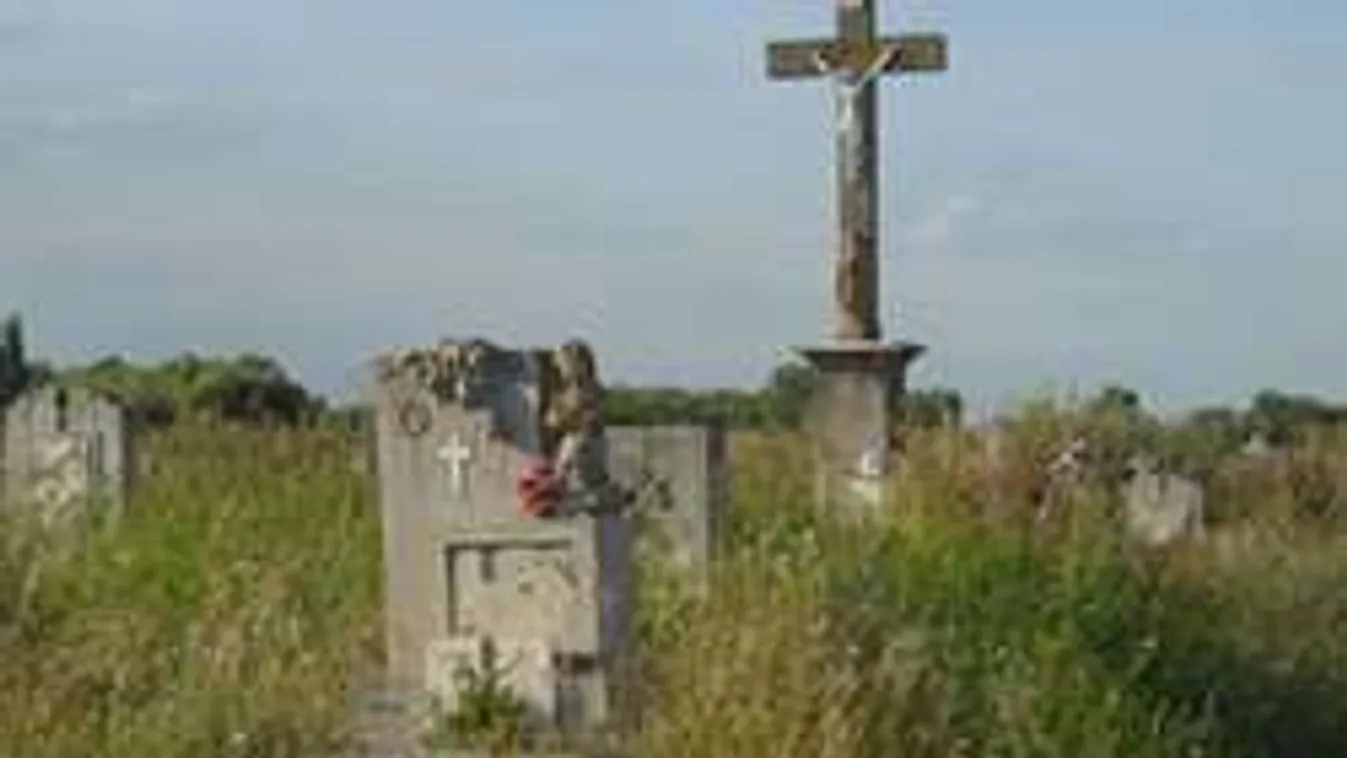 Élőben akarta közvetíteni öngyilkosságát a markazi temetőből!