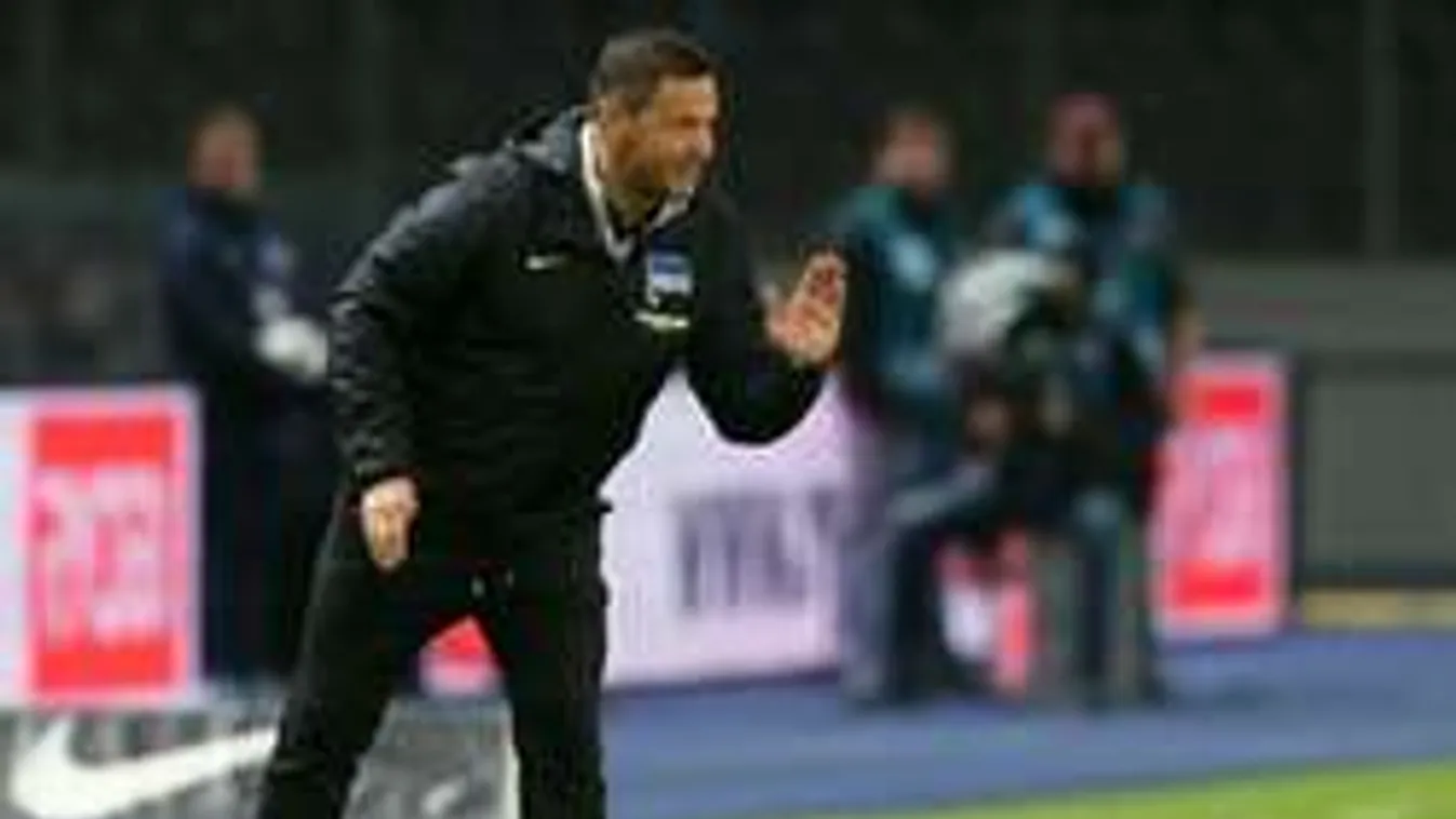 Micsoda Dárdai-ötlet: mit csinálna Király újra a Herthánál?