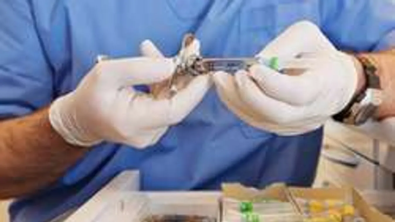 Ez a halálos veszély leselkedik rád a fogorvosi székben