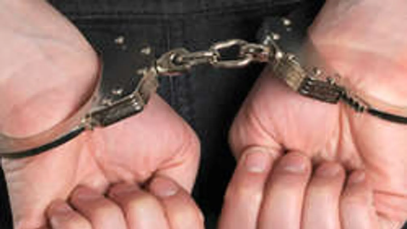 Friss: felmentették a darnózseli darálós gyilkosság vádlottját