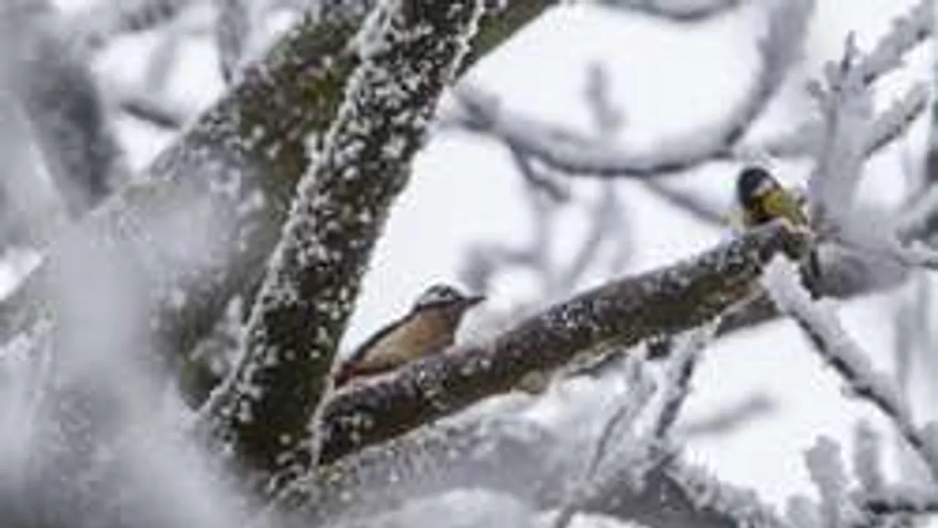Kíméletlen hidegfront éri el hazánkat, durván lehűti a levegőt