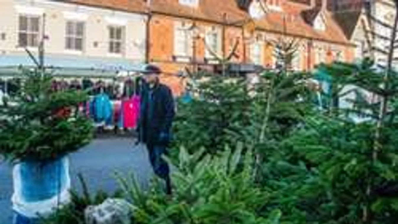 Tömegverekedés tört ki a fenyőárusnál - Videó