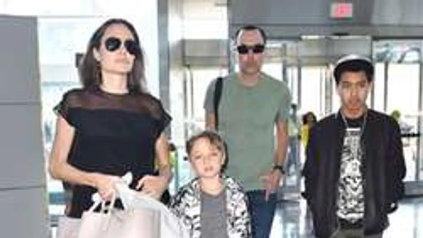 Már a bátyjának is elege van Angelina Jolie-ból