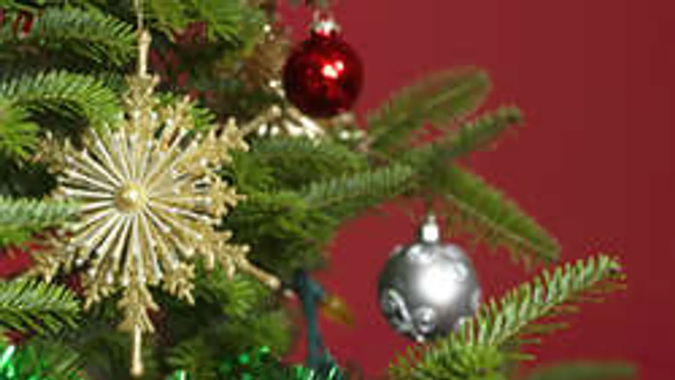 Ezt kéri karácsonyra a világ legönzetlenebb gyereke