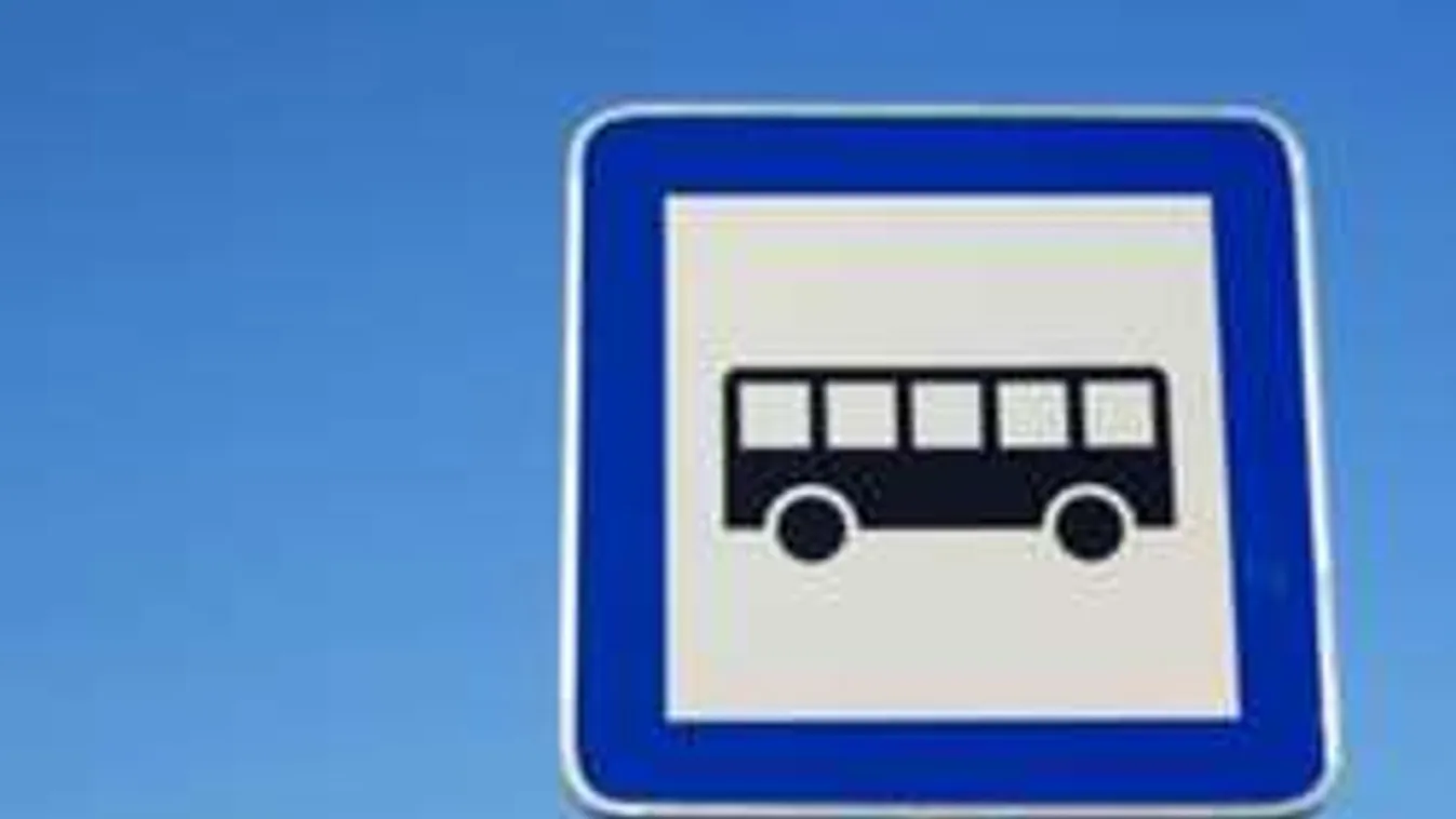 Szétszakította anyát és fiát a pesti buszsofőr