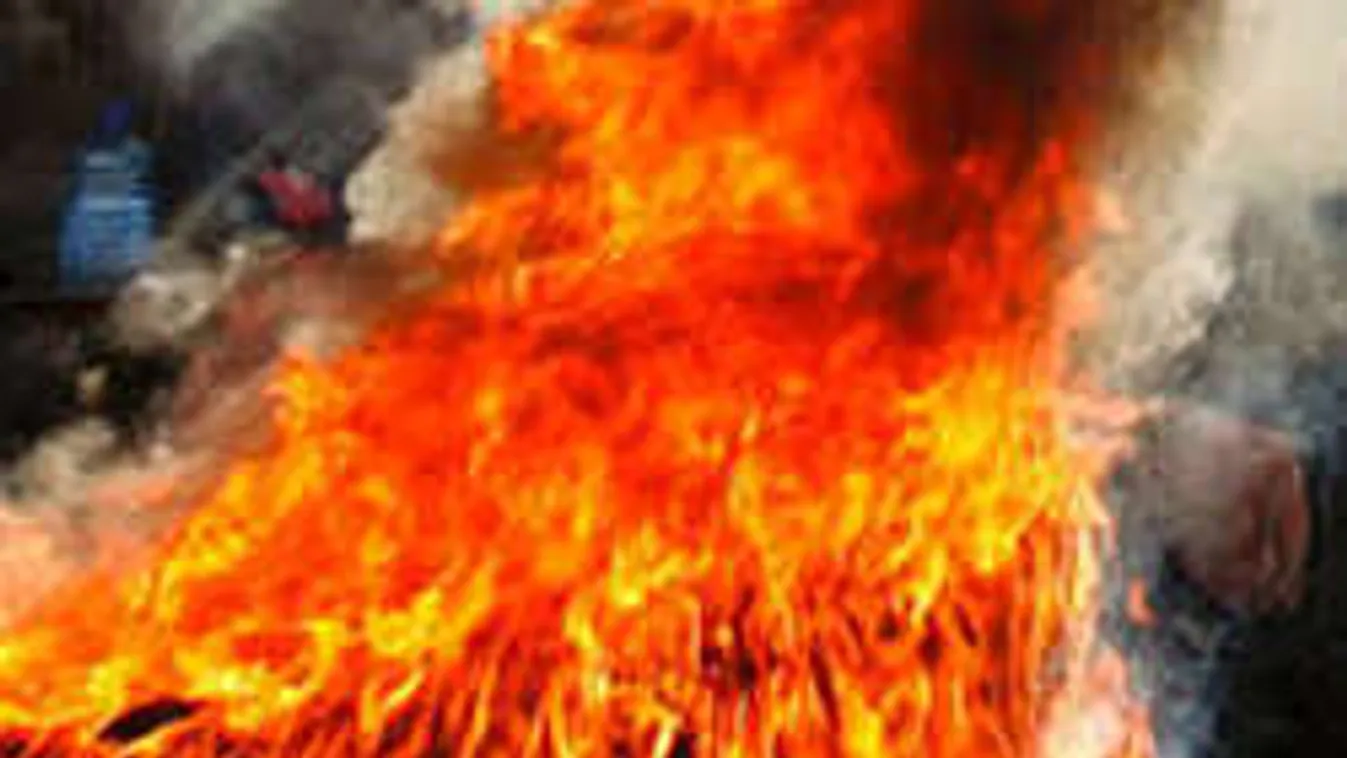 Lángokban állt az erdő Újpesten - eldobott petárda okozta? - Videó