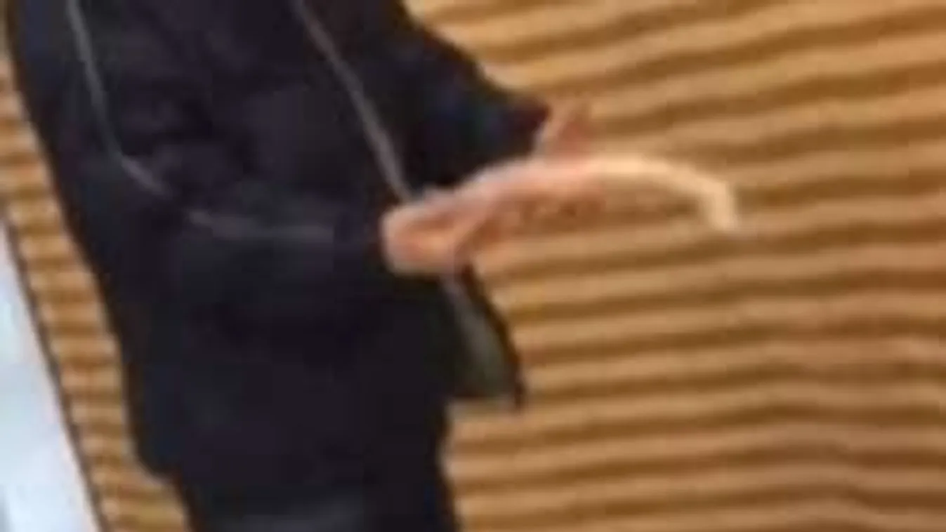 Nem hiszed el, mivel mentegetőzött a kolbásztolvaj!