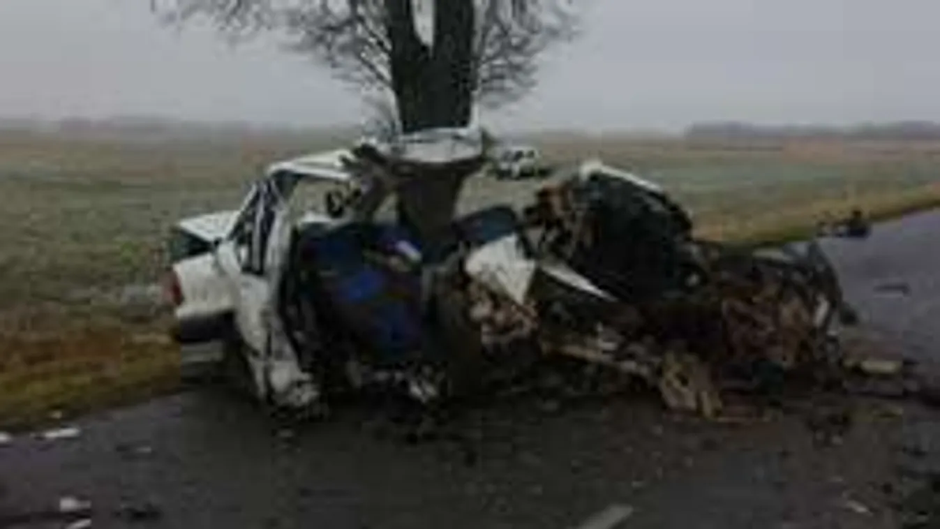 Brutális baleset: Kettévágta a fa az autót, senki sem élte túl - fotó