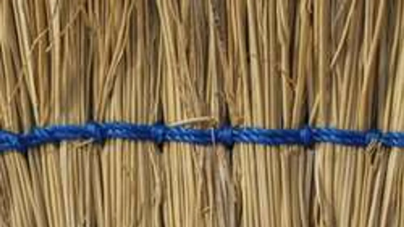 Seprűvel verték szét a néni fejét a kegyetlen fiatalok