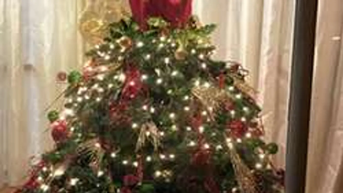 Unalmas a karácsonyfa? Idén ez lesz az új fenyődivat!