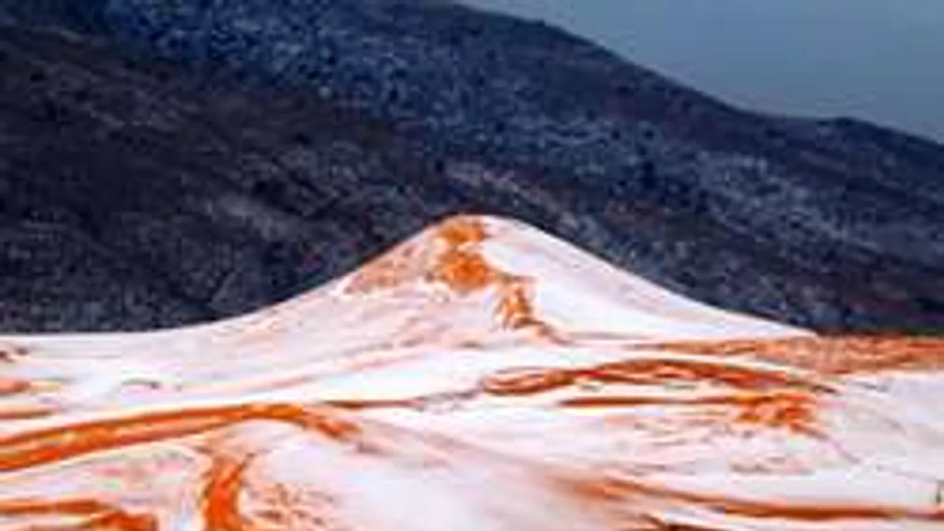 Nem hittek a szemüknek: csoda történt a sivatagban!