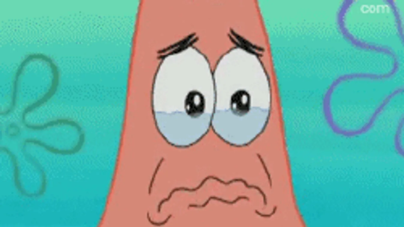 Ilyen az összetartás: Ennél meghatóbb videó ma már nem lesz