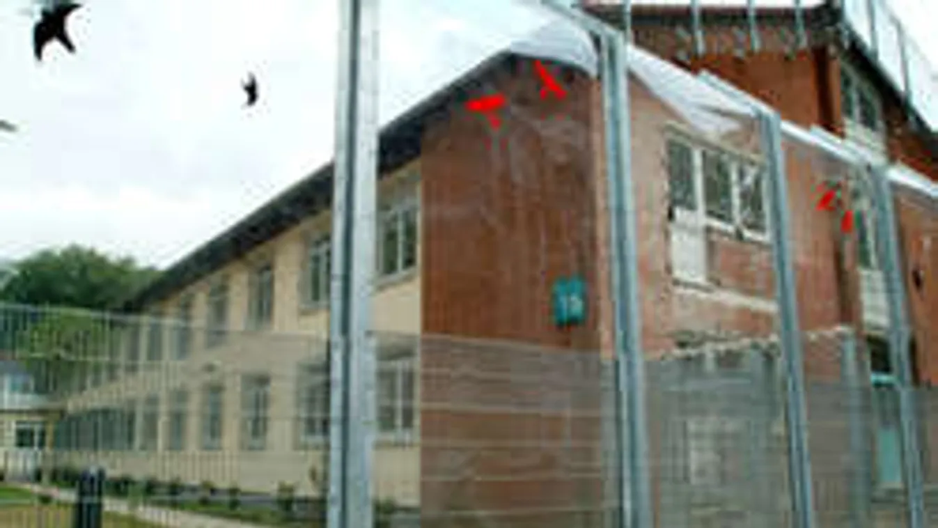 Véres ruhában jelentkezett a börtönben az apagyilkos