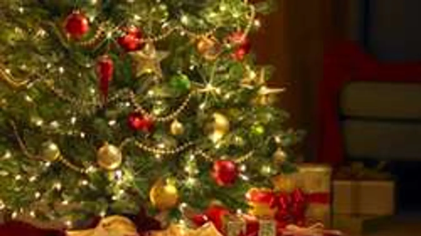 Nyomj citromot a karácsonyfádra! Elképesztő a hatás!
