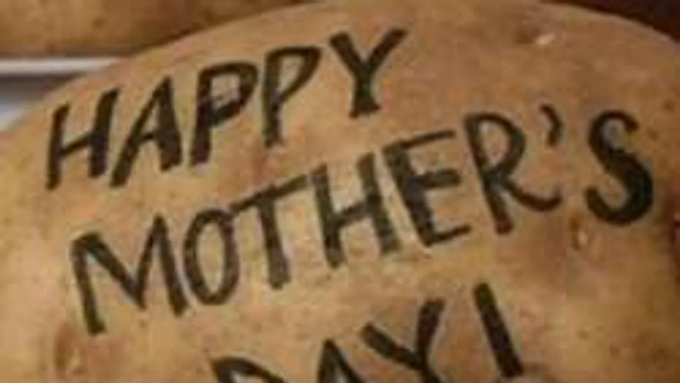 Elképesztő, de már itthon is hódít a krumplin küldött üzenet mánia!