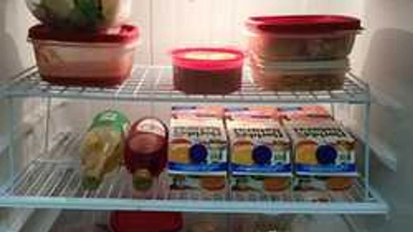 Vigyázz, ezt csinálja a hűtőd a nagy hidegben!