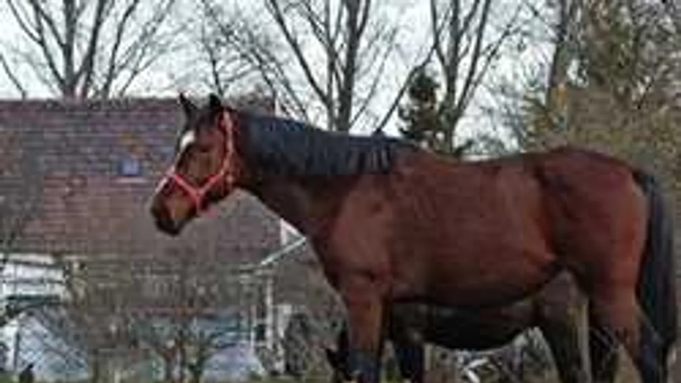 Elképesztő felajánlásokat tesznek az áldozatok hozzátartozóinak