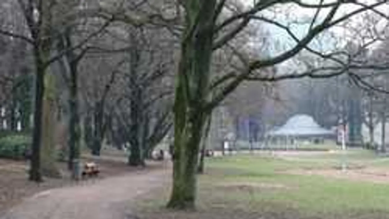 Segélyhívással csalták ki az ápolónőt,majd öten megerőszakolták!